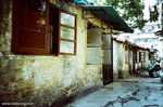 lomo_LCA_04