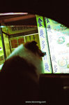 lomo_LCA_05