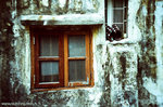 lomo_LCA_09