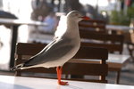 DSC_8748_resize
