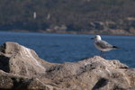 DSC_8794_resize