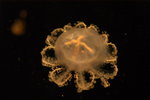 DSC_9280_resize