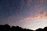 _DSC2942_resize