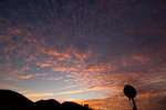 _DSC2946_resize