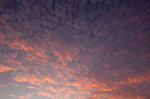 _DSC2950_resize