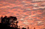 _DSC2954_resize