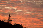 _DSC2956_resize