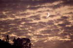 _DSC2963_resize