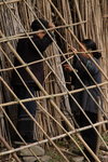 DSC_0338_resize