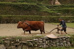 DSC_0398_resize