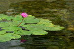 _DSC7730-01_resize