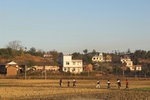 DSC_4793-01_resize