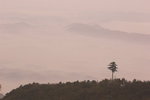 DSC_4835-01_resize
