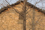 DSC_5103-01_resize
