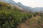 DSC_5286-01_resize