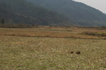 DSC_5347-01_resize