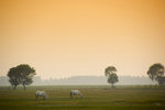 _DSC7059_resize