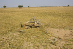 _DSC7104_resize