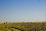 _DSC7136_resize