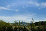 _DSC4411_resize