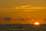 _DSC4443_resize