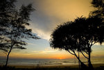 _DSC4445_resize