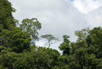 _DSC4471_resize