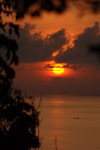 DSC_5487_resize