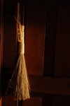 DSC_5831_resize