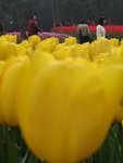 IMG_0034