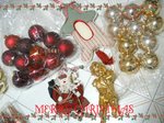 IMG_9453 copy