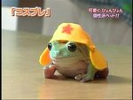 
real keroro~cute!