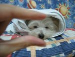 �վ�j�pIMG_9776