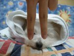 �վ�j�pIMG_9780