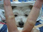 �վ�j�pIMG_9781