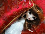 11IMG_0753