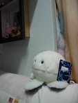 �p�@
