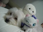 �վ�j�pIMG_1238