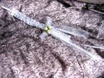 �վ�j�pIMG_6821