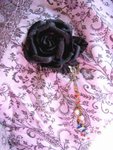 




chinese rose - $95 (�ΤF�������A�������γ����])�o�ӫe�e�����b�B���|�����b�����n�ݳ�!