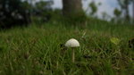 IMG_4343