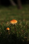 IMG_1773