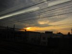 IMG_4550