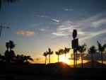 IMG_0978