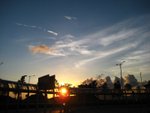 IMG_0981