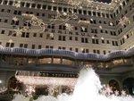 IMG_0364