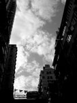 P1070142