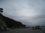 IMG_2229