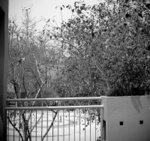 IMG_0001