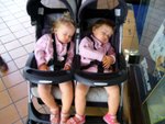 
twins